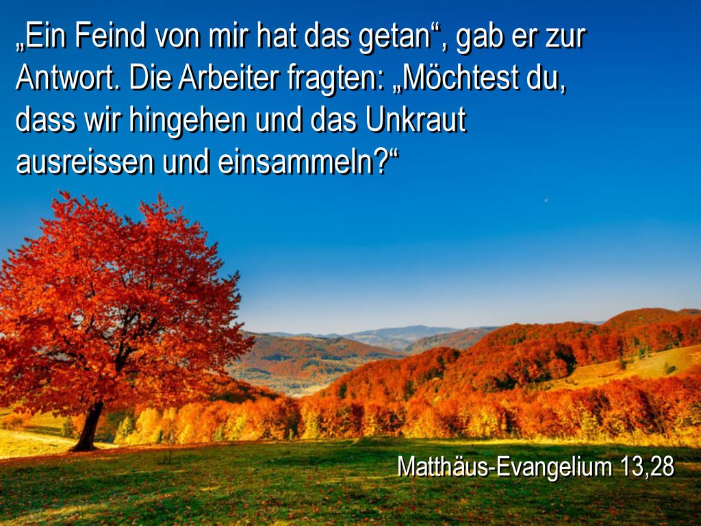 „Ein Feind von mir hat das getan , gab er zur Antwort