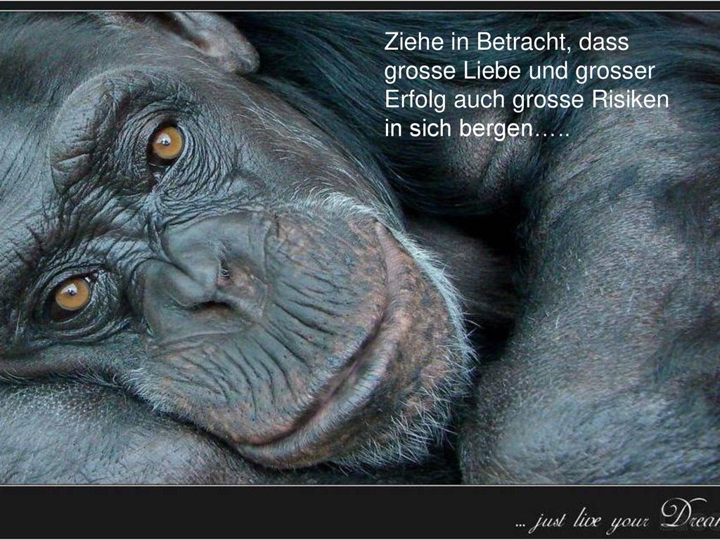 Ziehe in Betracht, dass grosse Liebe und grosser Erfolg auch grosse Risiken in sich bergen…..
