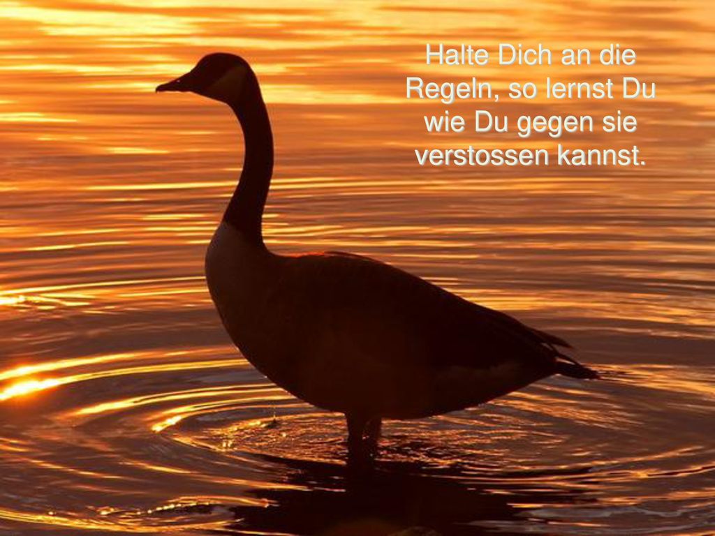 Halte Dich an die Regeln, so lernst Du wie Du gegen sie verstossen kannst.