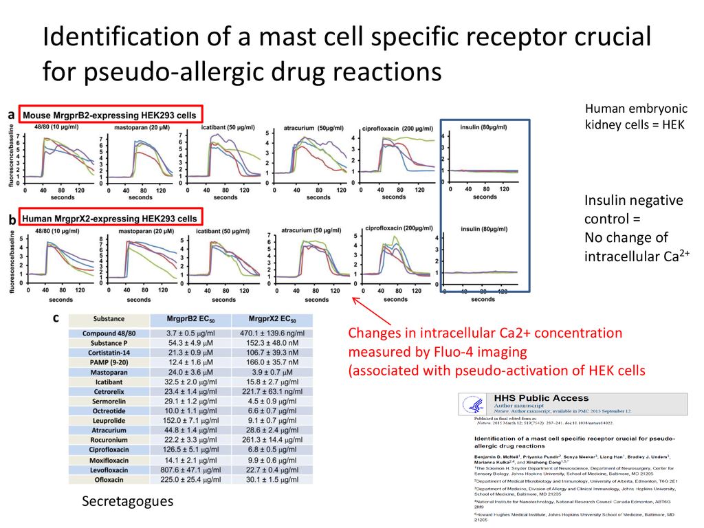 Identification of a mast cell specific receptor crucial for pseudo-allergic drug reactions