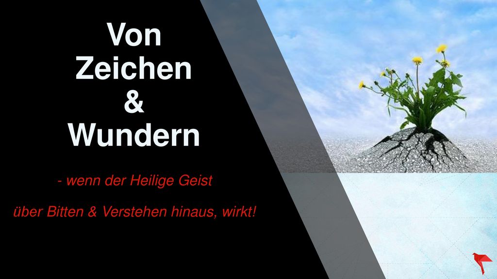 Von Zeichen & Wundern - wenn der Heilige Geist über Bitten & Verstehen hinaus, wirkt!