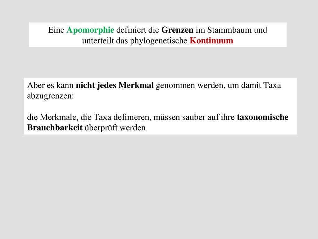 Eine Apomorphie definiert die Grenzen im Stammbaum und unterteilt das phylogenetische Kontinuum