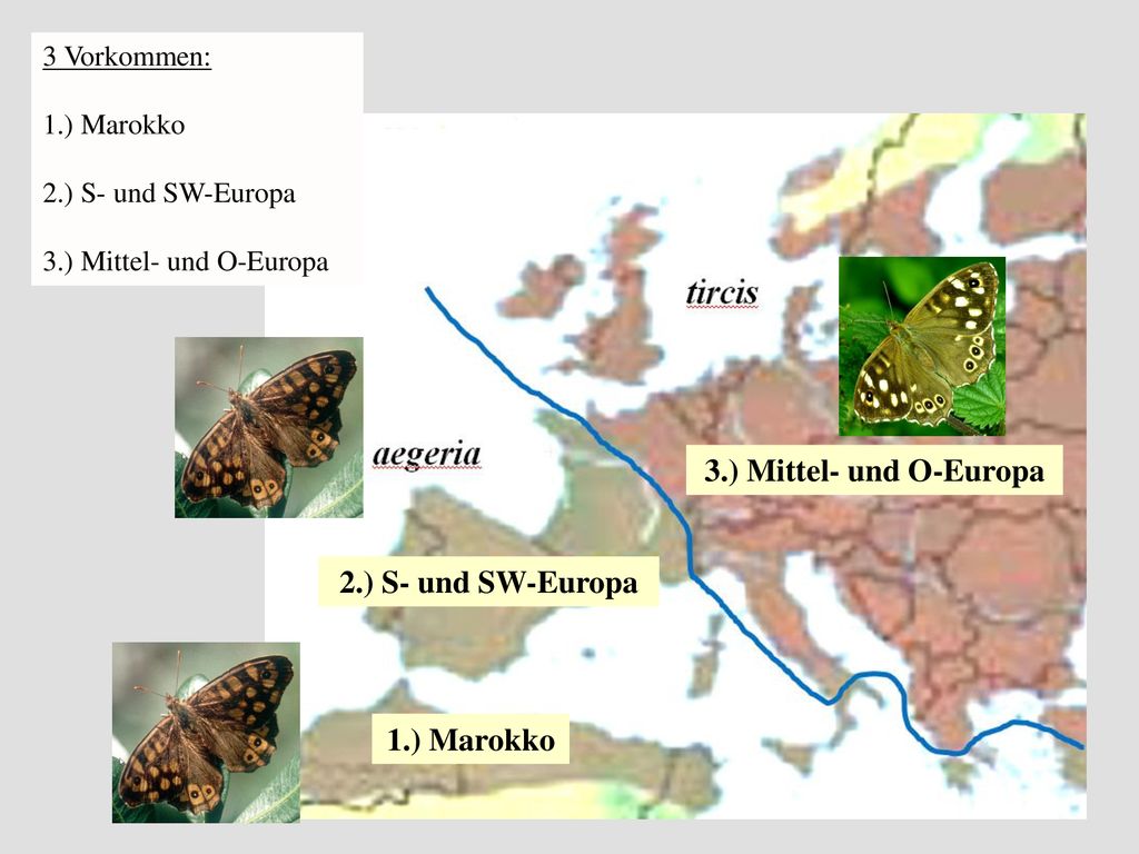 3.) Mittel- und O-Europa 2.) S- und SW-Europa 1.) Marokko
