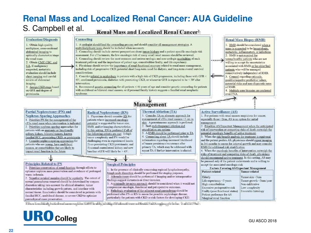 Renal Mass and Localized Renal Cancer: AUA Guideline S. Campbell et al.