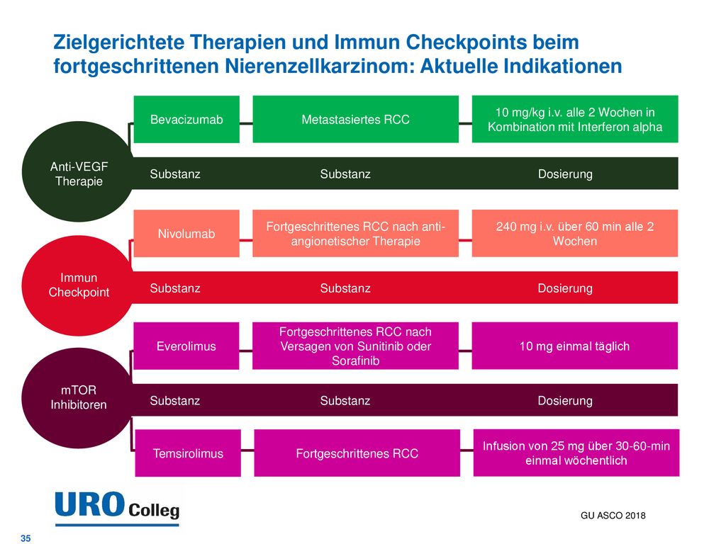 Zielgerichtete Therapien und Immun Checkpoints beim fortgeschrittenen Nierenzellkarzinom: Aktuelle Indikationen