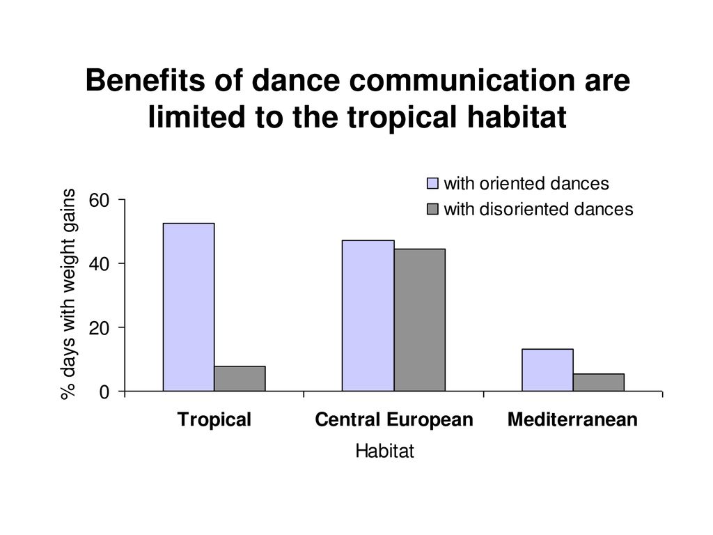 Benefits of dance communication are limited to the tropical habitat