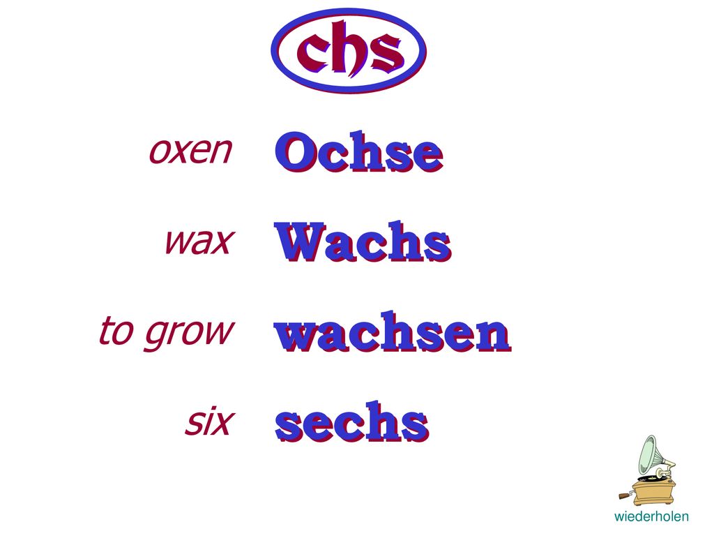 chs oxen wax to grow six Ochse Wachs wachsen sechs wiederholen