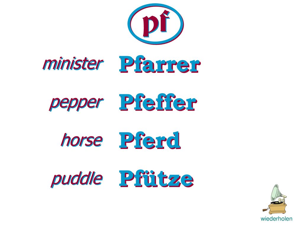 pf Pfarrer Pfeffer Pferd Pfütze minister pepper horse puddle