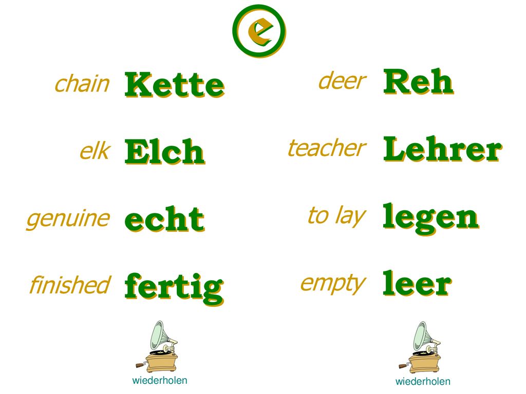 e Reh Kette Lehrer Elch legen echt leer fertig deer chain teacher elk