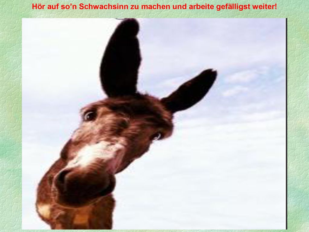 Hör auf so’n Schwachsinn zu machen und arbeite gefälligst weiter!
