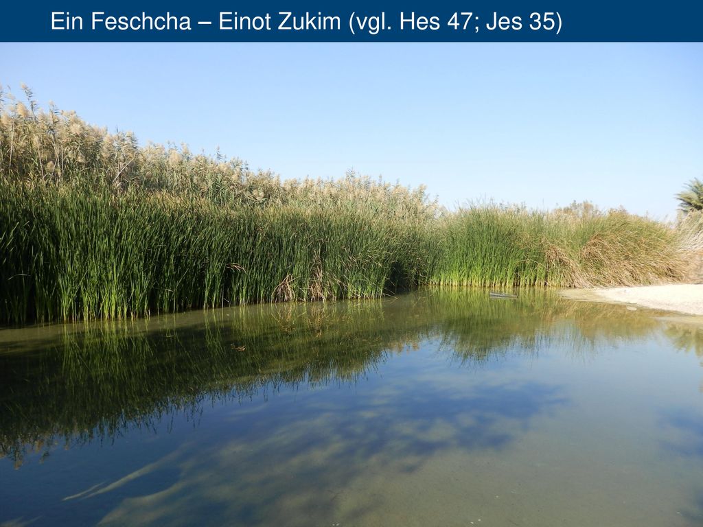 Ein Feschcha – Einot Zukim (vgl. Hes 47; Jes 35)