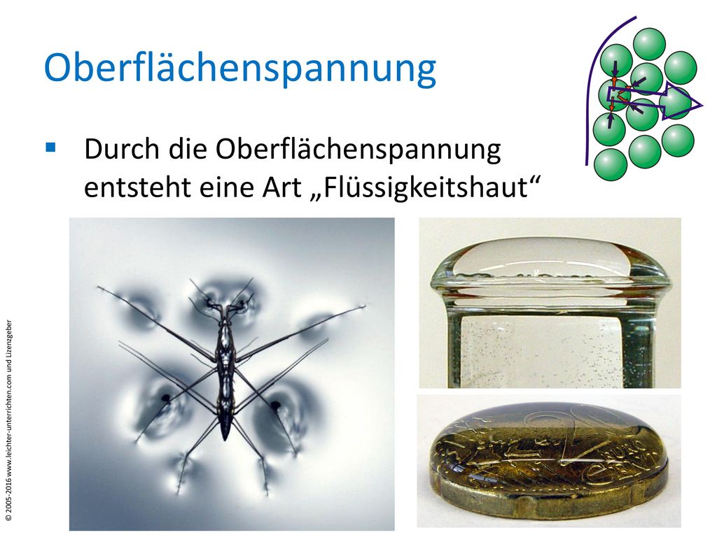 Oberflächenspannung Durch die Oberflächenspannung entsteht eine Art „Flüssigkeitshaut Grafik: Friedrich Saurer,