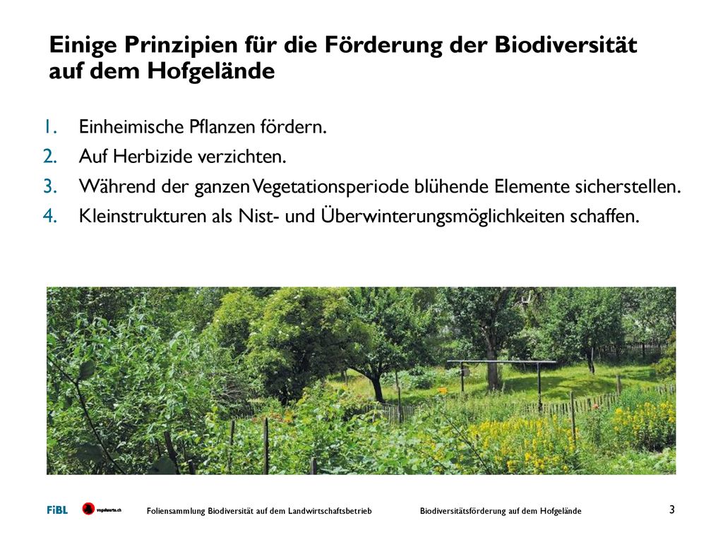 Einige Prinzipien für die Förderung der Biodiversität auf dem Hofgelände