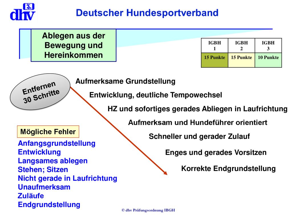 Ablegen aus der Bewegung und Hereinkommen © dhv Prüfungsordnung IBGH