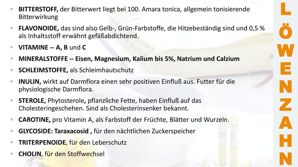 L Ö W E N Z A H N. BITTERSTOFF, der Bitterwert liegt bei 100. Amara tonica, allgemein tonisierende Bitterwirkung.