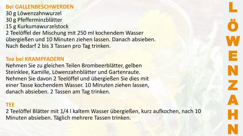 L Ö W E N Z A H N Bei GALLENBESCHWERDEN 30 g Löwenzahnwurzel