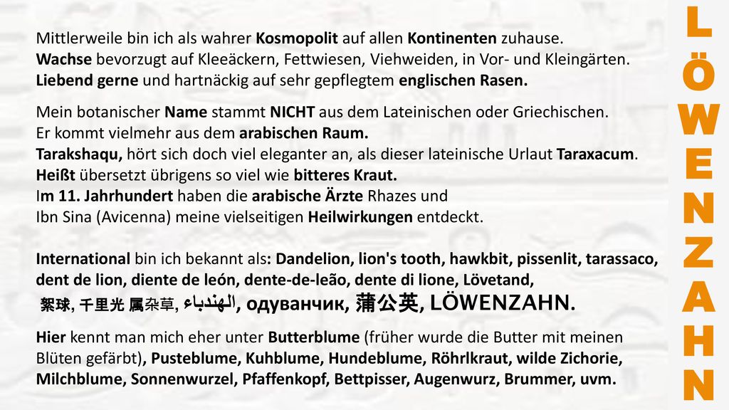 L Ö W E N Z A H N. Mittlerweile bin ich als wahrer Kosmopolit auf allen Kontinenten zuhause.