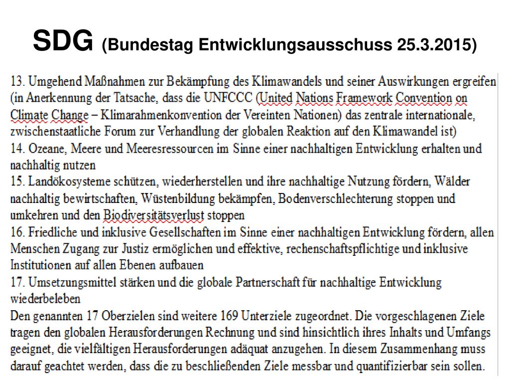 SDG (Bundestag Entwicklungsausschuss )