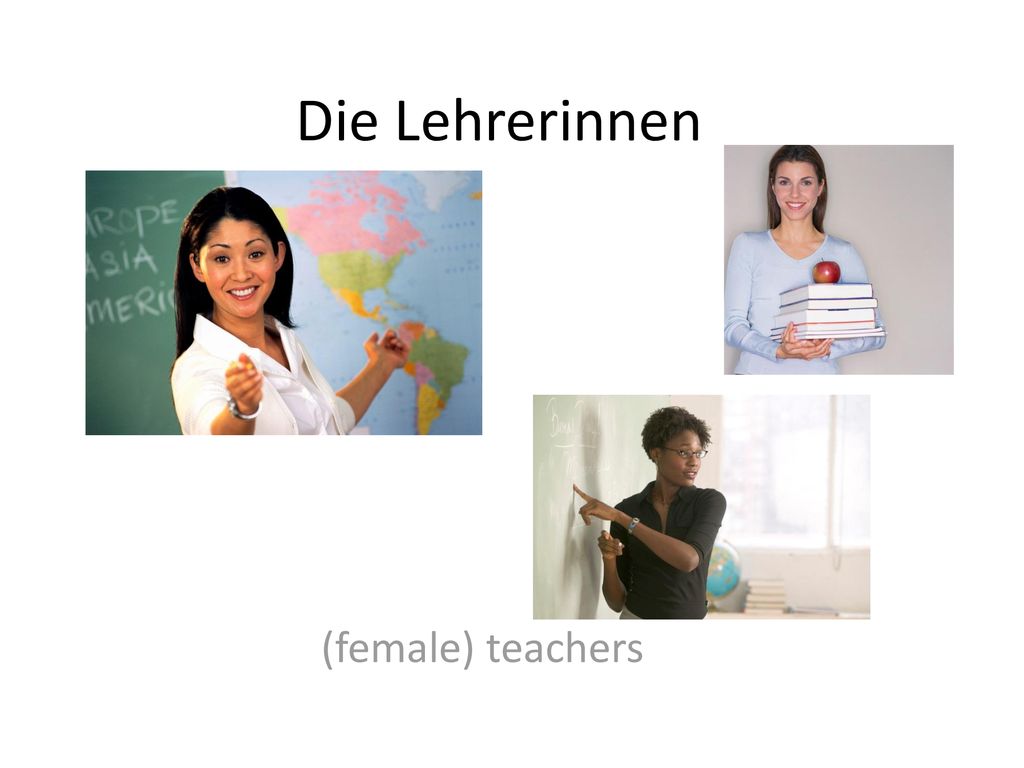Die Lehrerinnen (female) teachers