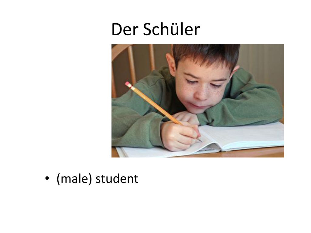 Der Schüler (male) student