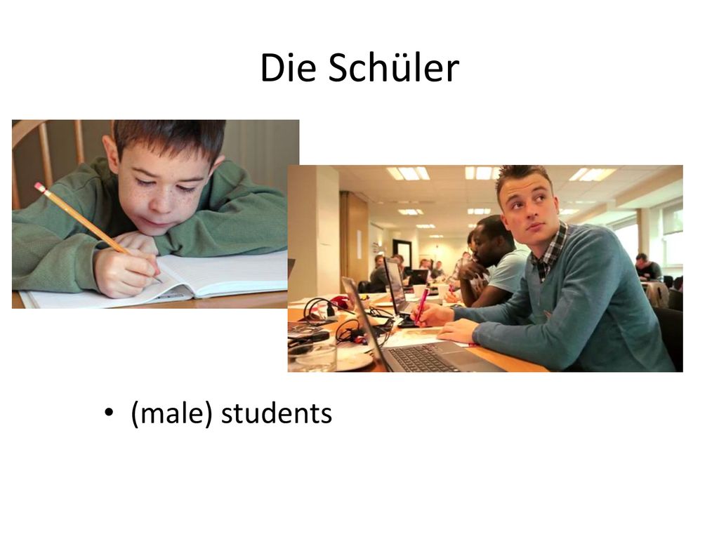 Die Schüler (male) students