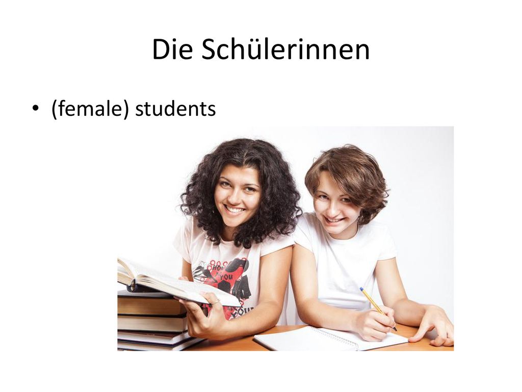Die Schülerinnen (female) students