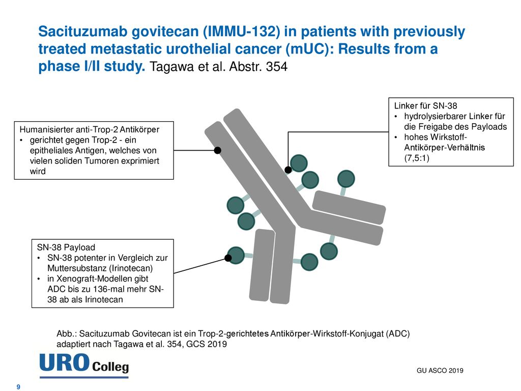 Sacituzumab govitecan (IMMU-132) in patients with previously treated metastatic urothelial cancer (mUC): Results from a phase I/II study. Tagawa et al. Abstr. 354