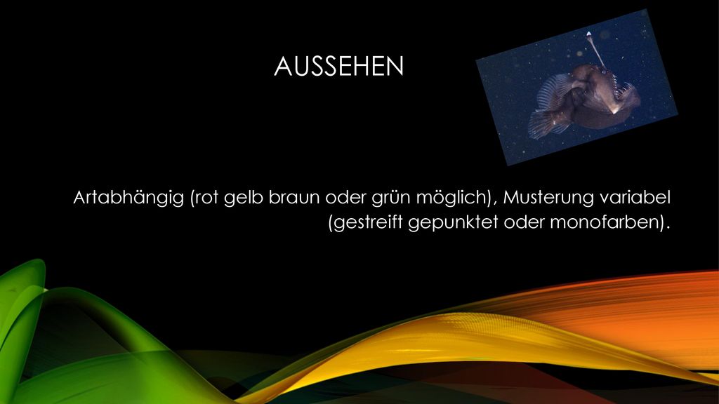 Aussehen Artabhängig (rot gelb braun oder grün möglich), Musterung variabel.