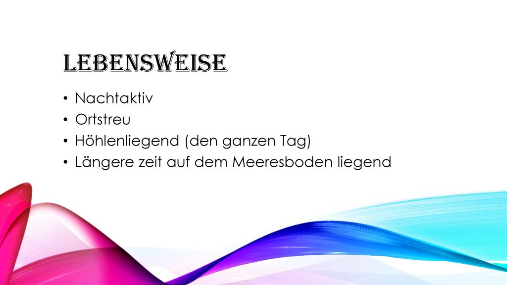 Lebensweise Nachtaktiv Ortstreu Höhlenliegend (den ganzen Tag)