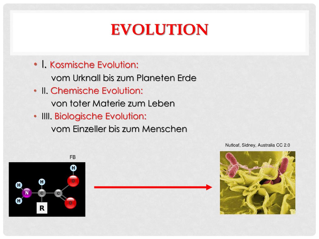 Evolution I. Kosmische Evolution: vom Urknall bis zum Planeten Erde