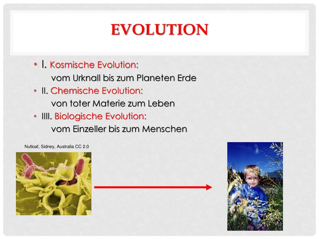 Evolution I. Kosmische Evolution: vom Urknall bis zum Planeten Erde