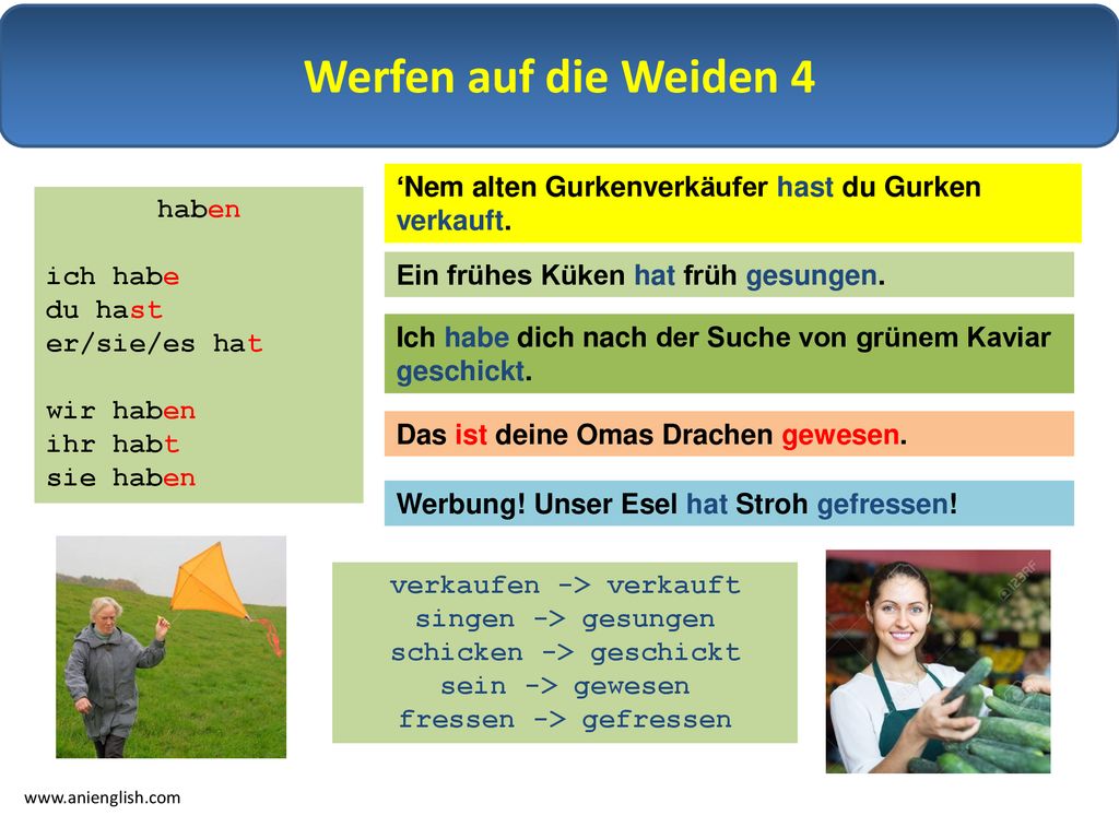 Werfen auf die Weiden 4 ‘Nem alten Gurkenverkäufer hast du Gurken verkauft. haben. ich habe. du hast.