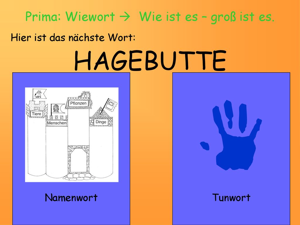 Prima: Wiewort  Wie ist es – groß ist es.
