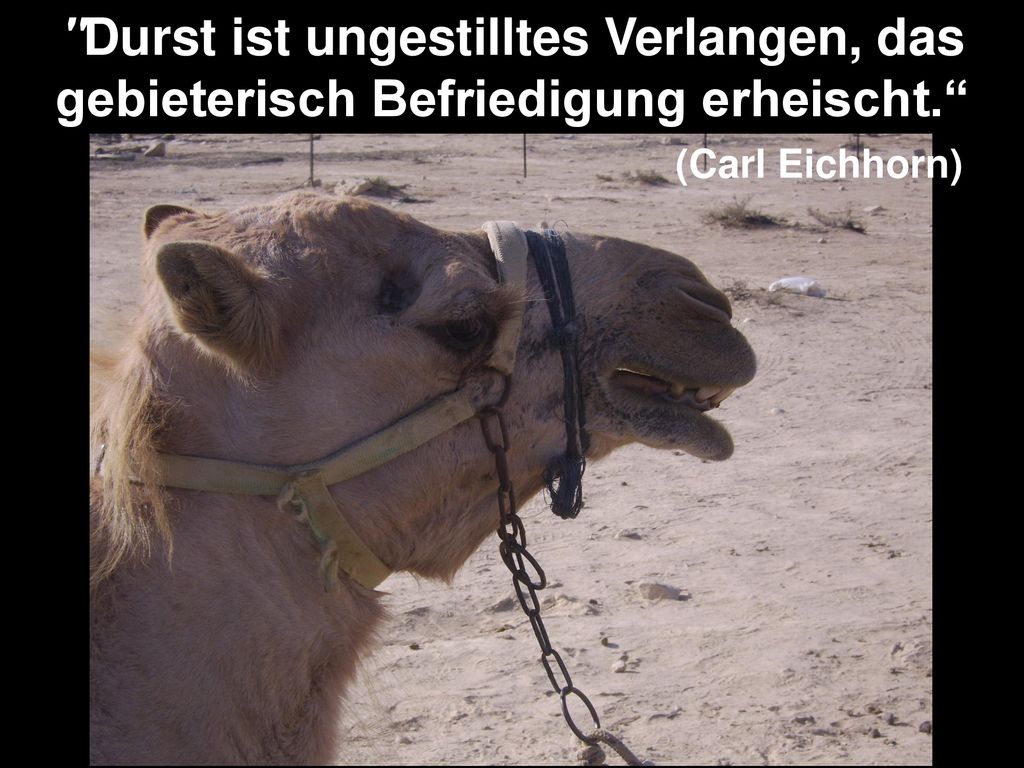 Durst ist ungestilltes Verlangen, das gebieterisch Befriedigung erheischt. (Carl Eichhorn)