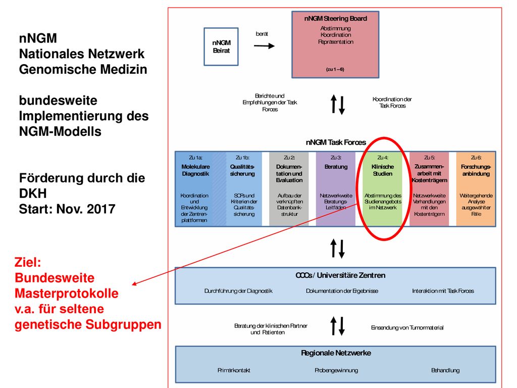 nNGM Nationales Netzwerk. Genomische Medizin. bundesweite. Implementierung des. NGM-Modells. Förderung durch die.
