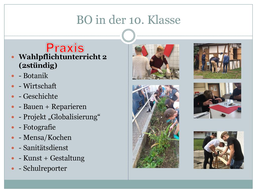 BO in der 10. Klasse Wahlpflichtunterricht 2 (2stündig) - Botanik
