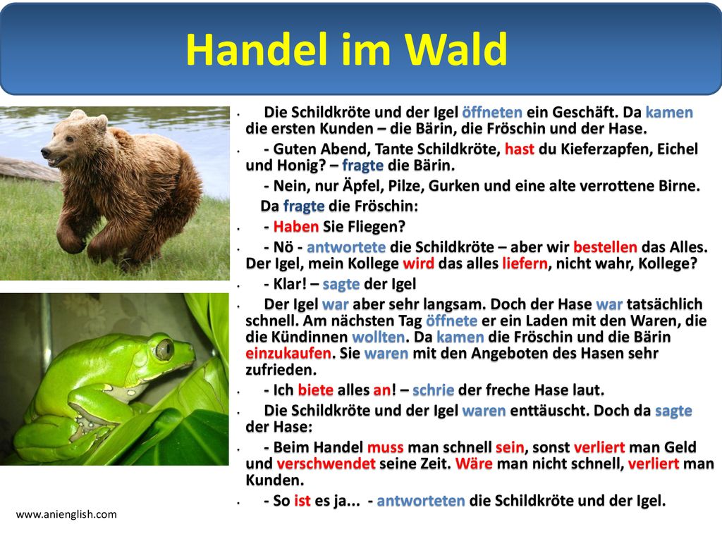 Handel im Wald Die Schildkröte und der Igel öffneten ein Geschäft. Da kamen die ersten Kunden – die Bärin, die Fröschin und der Hase.