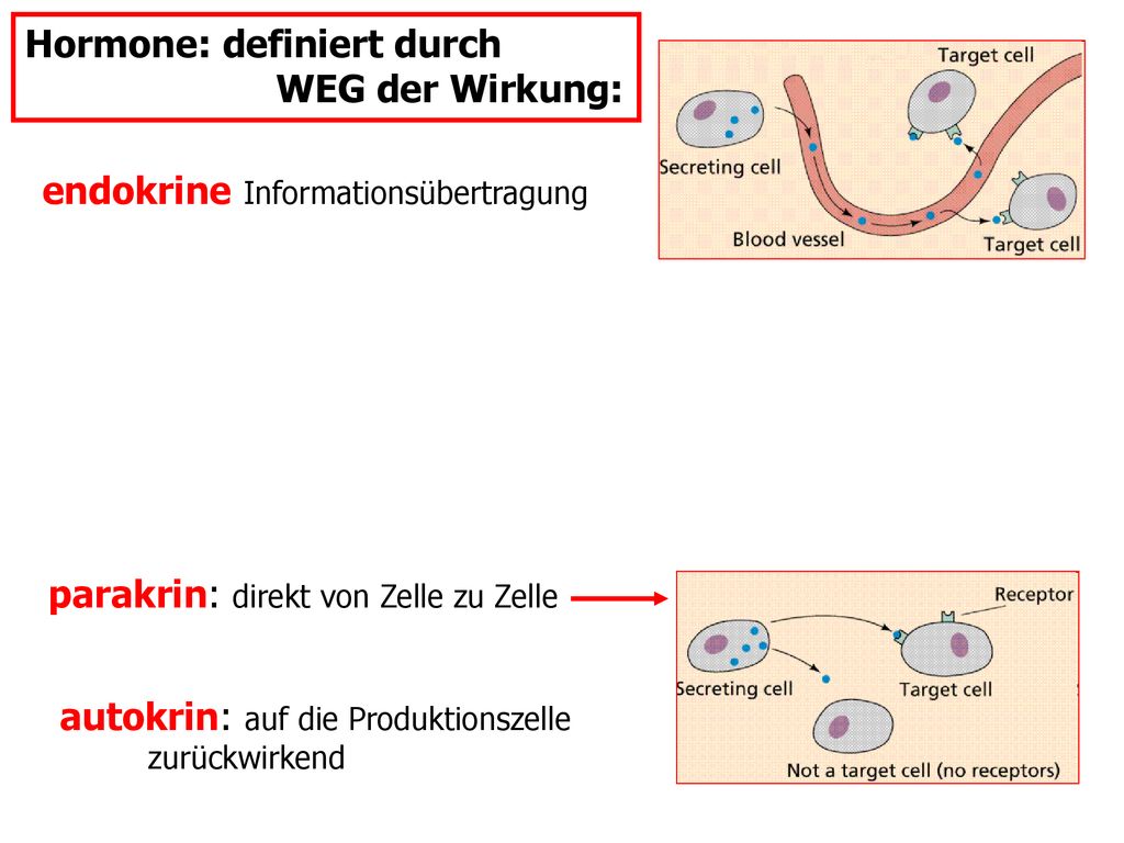 Endokrinpathophysiologie Ppt Herunterladen