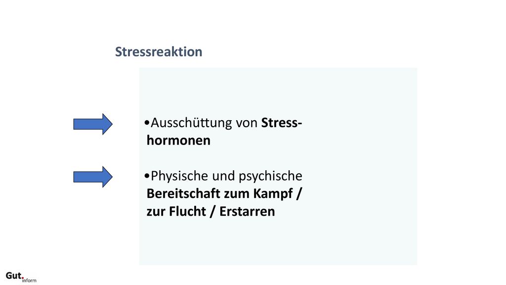 Stressreaktion Ausschüttung von Stress- hormonen. Physische und psychische. Bereitschaft zum Kampf /