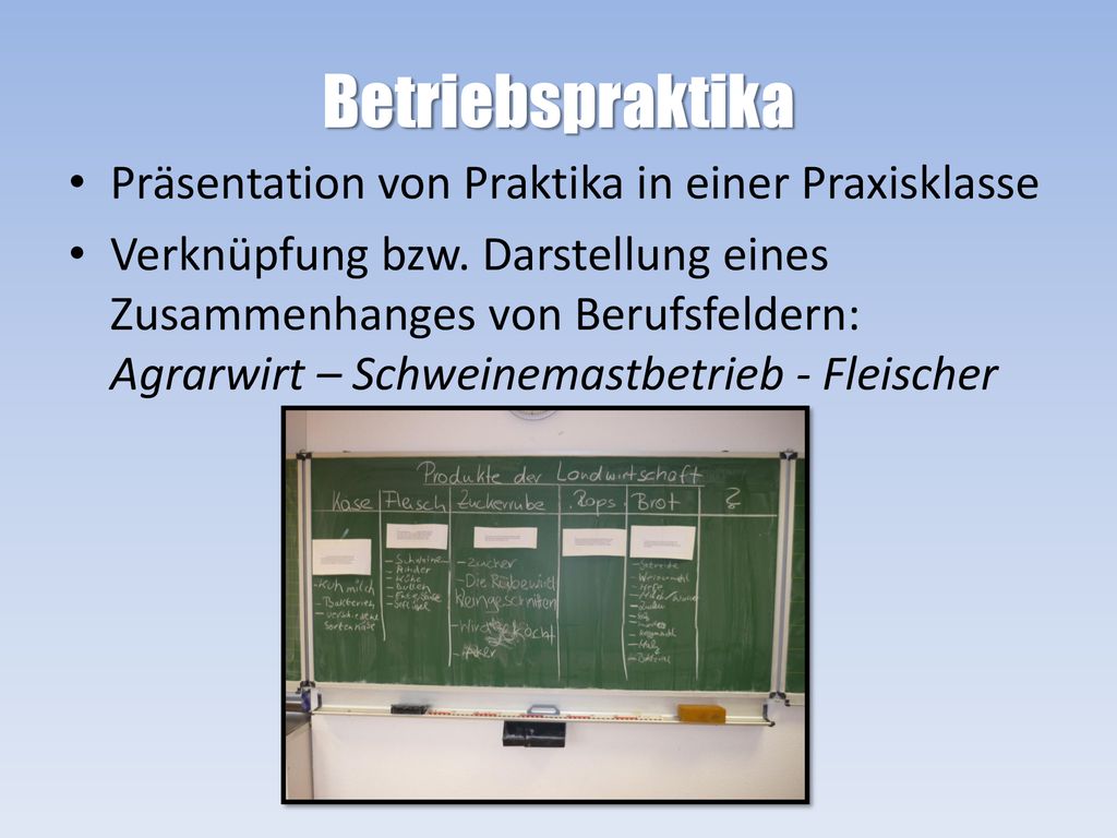 Berufsorientierung An Der DBS Angebote Zur BO Unter Berücksichtigung ...