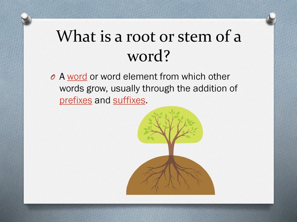 What is a root or stem of a word