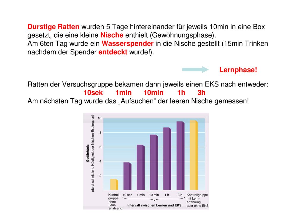 Durstige Ratten wurden 5 Tage hintereinander für jeweils 10min in eine Box