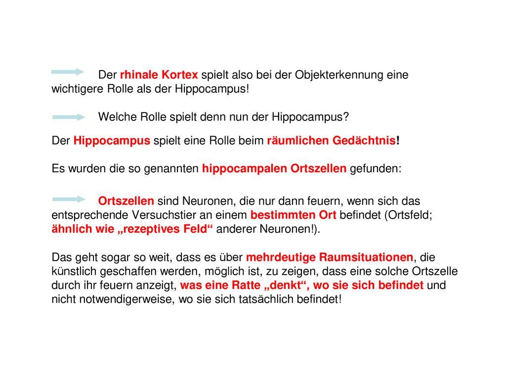Der rhinale Kortex spielt also bei der Objekterkennung eine wichtigere Rolle als der Hippocampus!