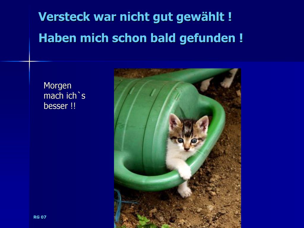 Versteck war nicht gut gewählt ! Haben mich schon bald gefunden !