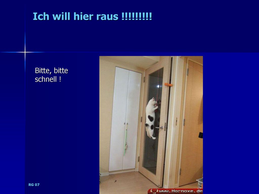 Ich will hier raus !!!!!!!!! Bitte, bitte schnell ! RG 07