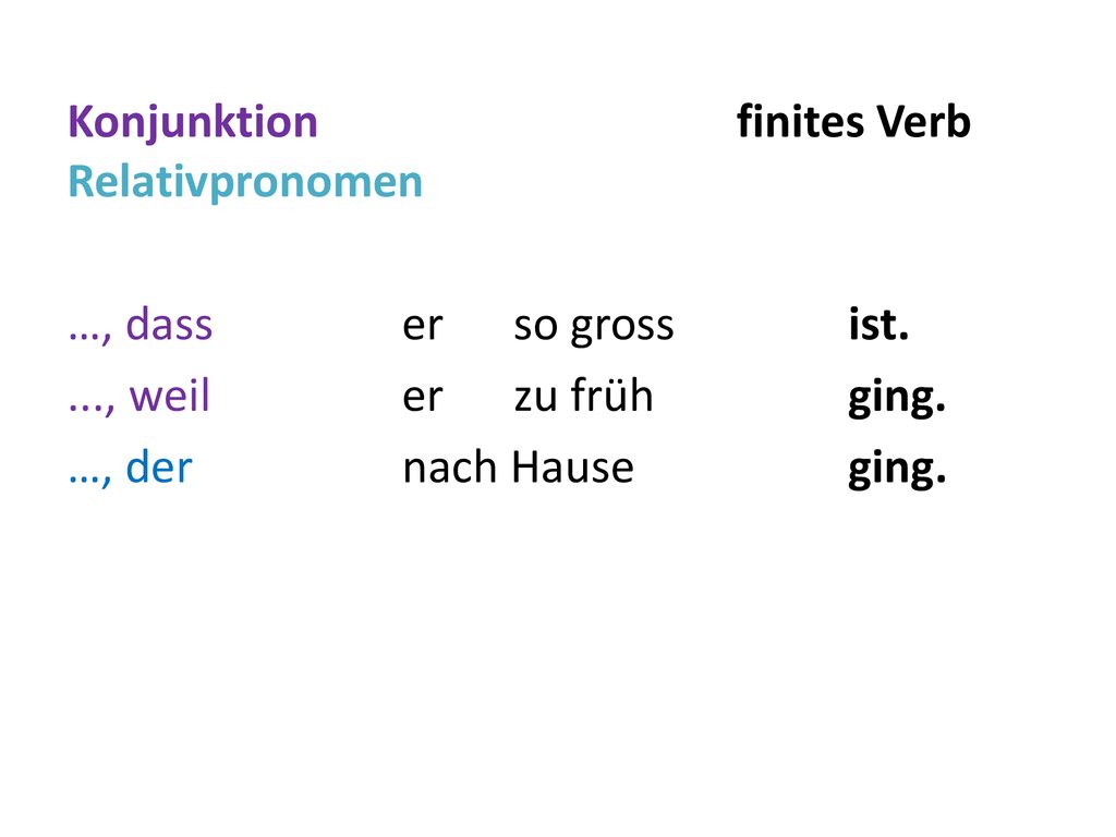Konjunktion finites Verb Relativpronomen …, dass er so gross ist