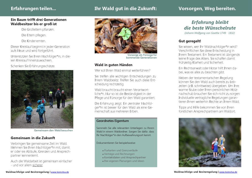 Ihr Wald gut in die Zukunft: Vorsorgen, Weg bereiten.