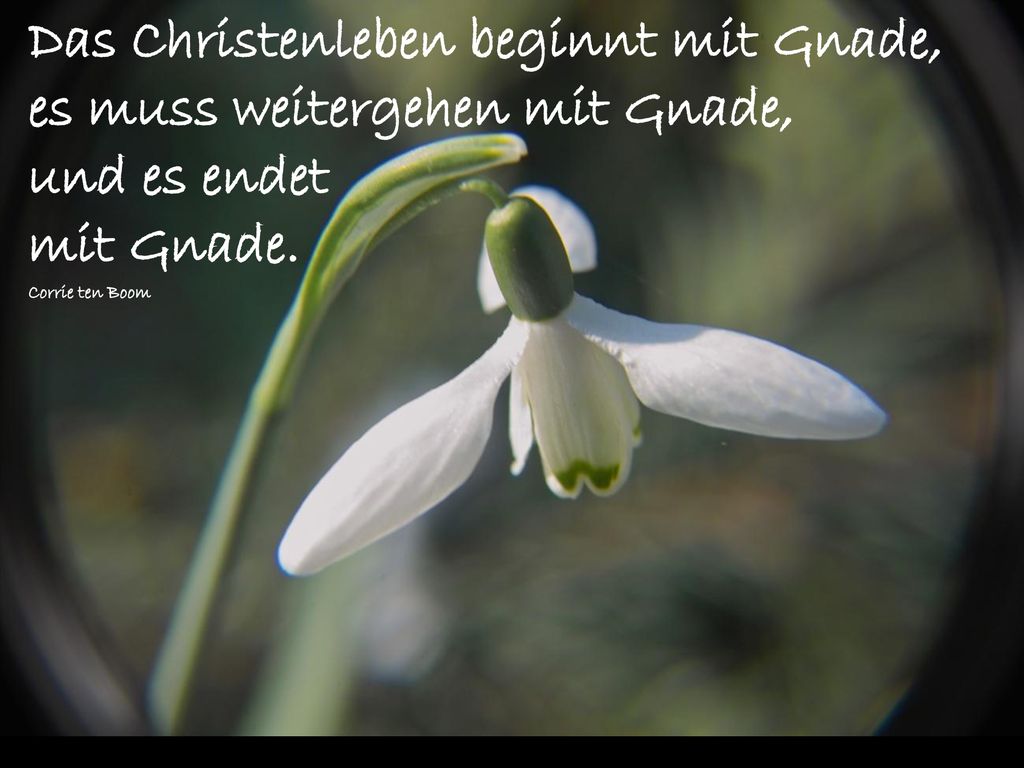 Das Christenleben beginnt mit Gnade, es muss weitergehen mit Gnade,