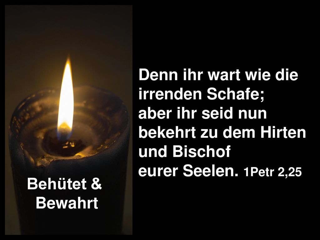 Behütet & Bewahrt. Denn ihr wart wie die irrenden Schafe; aber ihr seid nun bekehrt zu dem Hirten und Bischof.