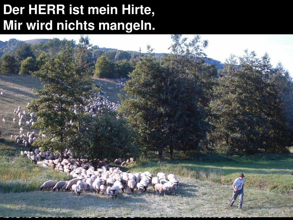 Der HERR ist mein Hirte, Mir wird nichts mangeln. Er weidet mich auf einer grünen Aue und.